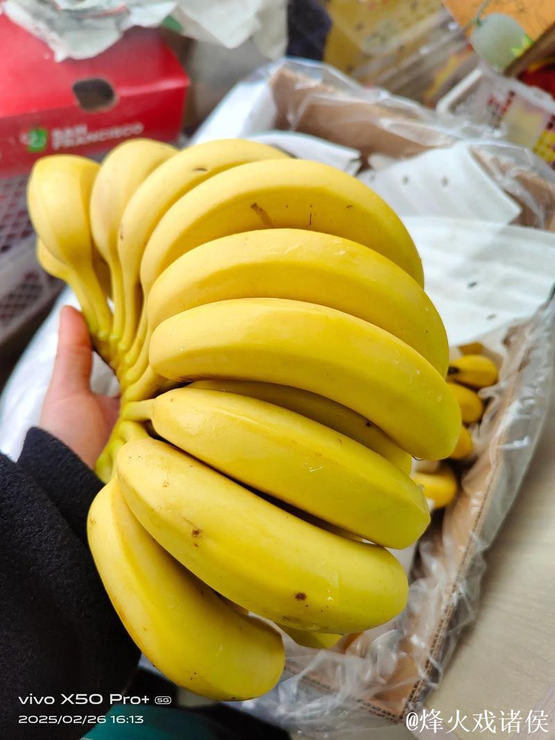 国产香蕉视频精彩推荐