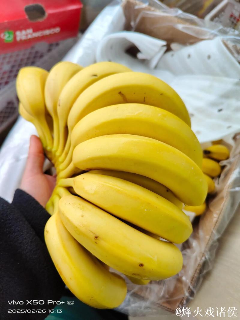 国产香蕉视频精彩推荐